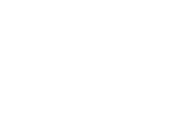 tele2-pin-netherlands